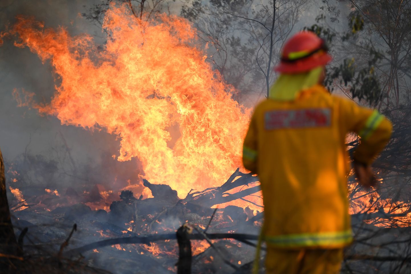 Tuletõrjuja kustutamas maastikupõlengut Austraalia Uus-Lõuna-Walesi osariigis.