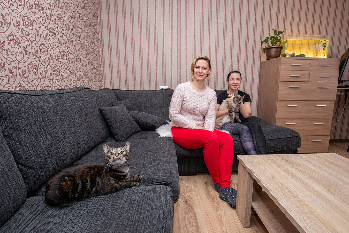 Kasside hoiupaiga loojad Katrin Avila (vasakul) ja Eneli Tislar on ise koduta kasside kodustamisega kätt proovinud. Tislari kassid Liisu (esiplaanil) ja Elli tunduvad kodust elu nautivat, mistõttu tahavad naised sama võimaluse anda ka teistele kassidele.