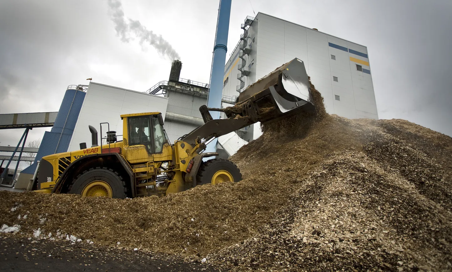 Biomass.