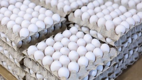 Торговая сеть рассказала, насколько растет спрос на белые яйца в пасхальную неделю