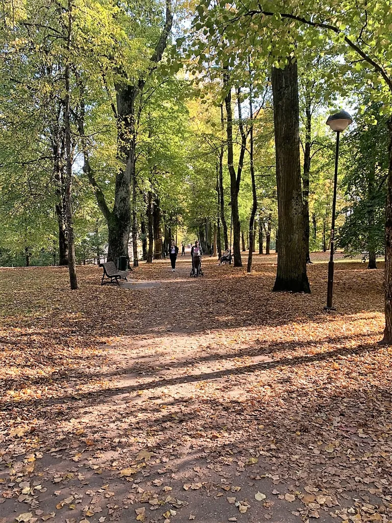 Toomemäel ei ole tänavu sügiskulda.
