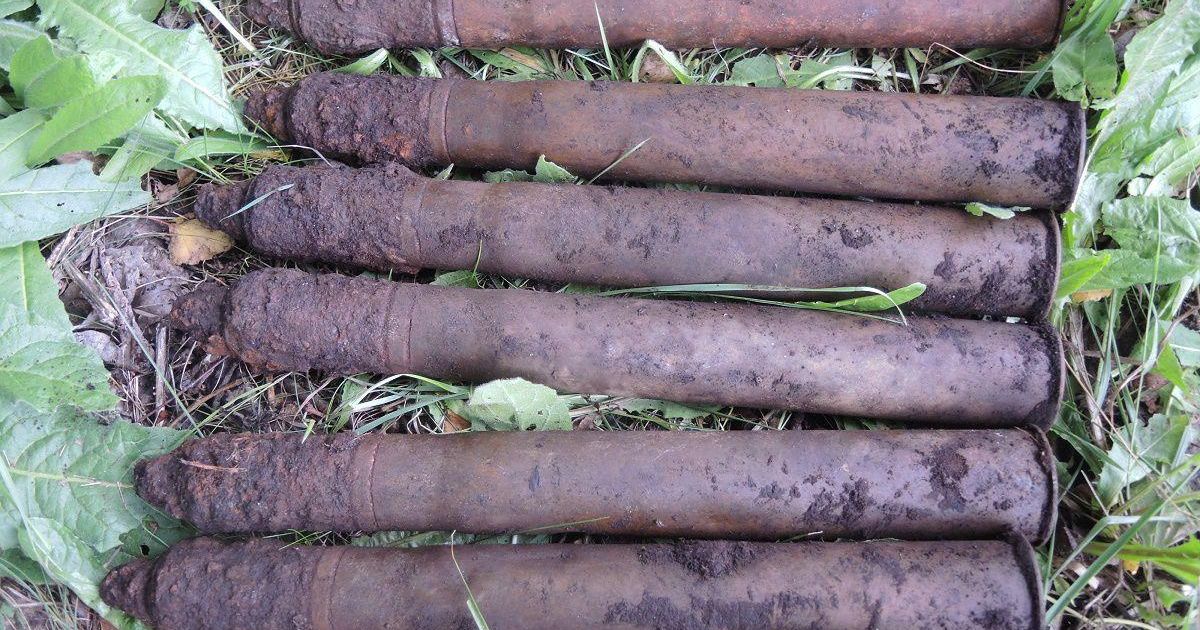 Mürske leiti nii metsast kui mullahunnikust