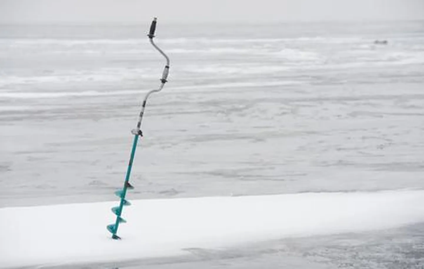 Ligemale 150 tööpakkumise seas pakutakse rajkendust jääpuuride valmistajalegi. Foto on illustreeriv.