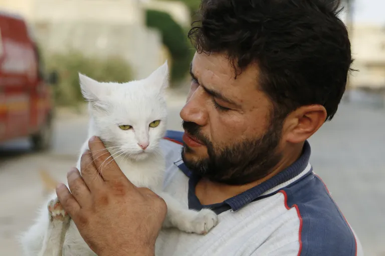 Artikli foto