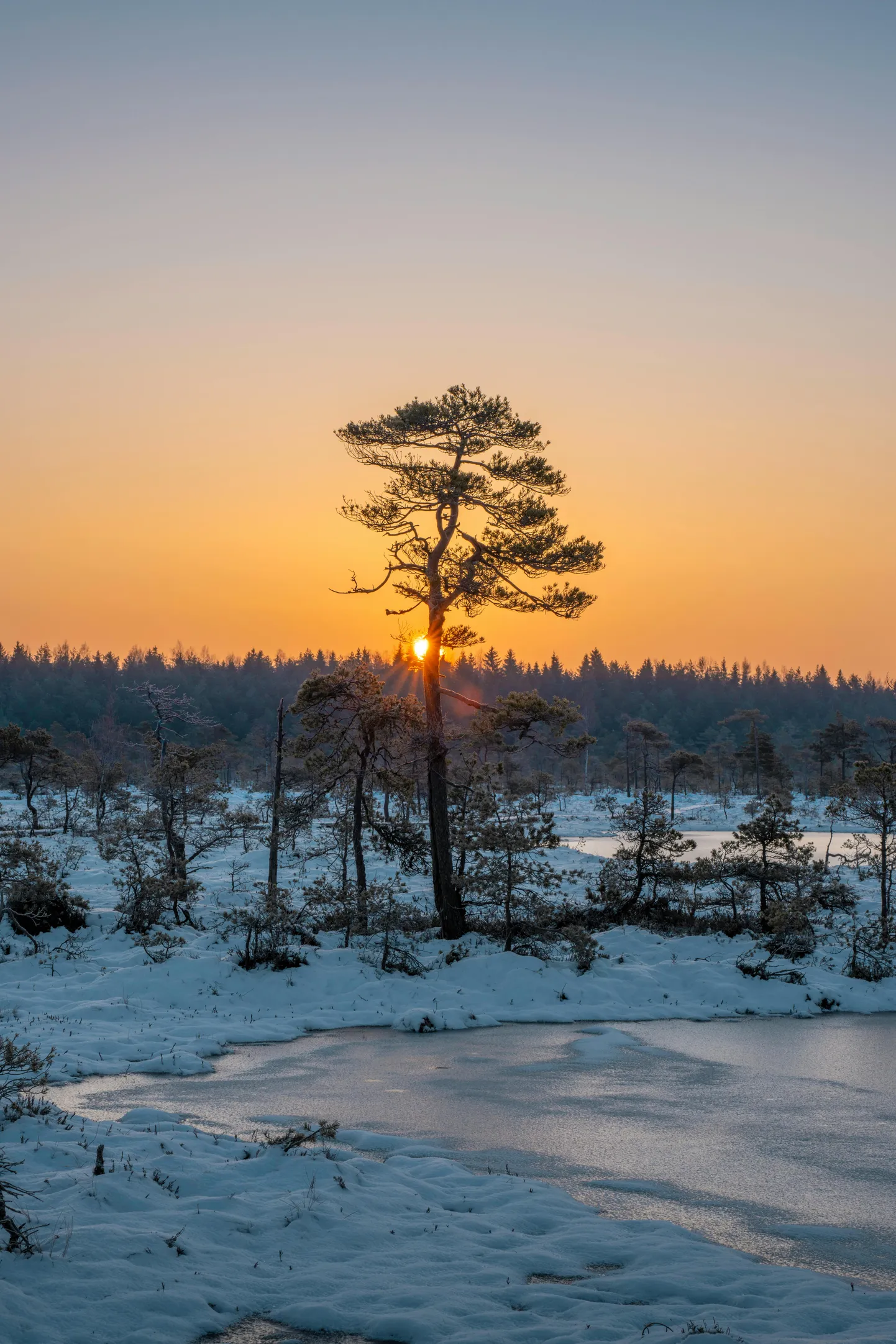 Nädalalõpp teeb seekord elujõuliseks.