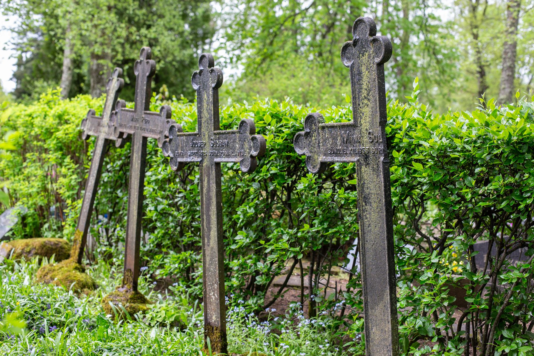 В старой части Йыхвиского кладбища более десяти лет действовало положение, когда разрешались подзахоронения в старые, исторические могилы, что, однако, по мнению нынешней власти, должно закончиться.