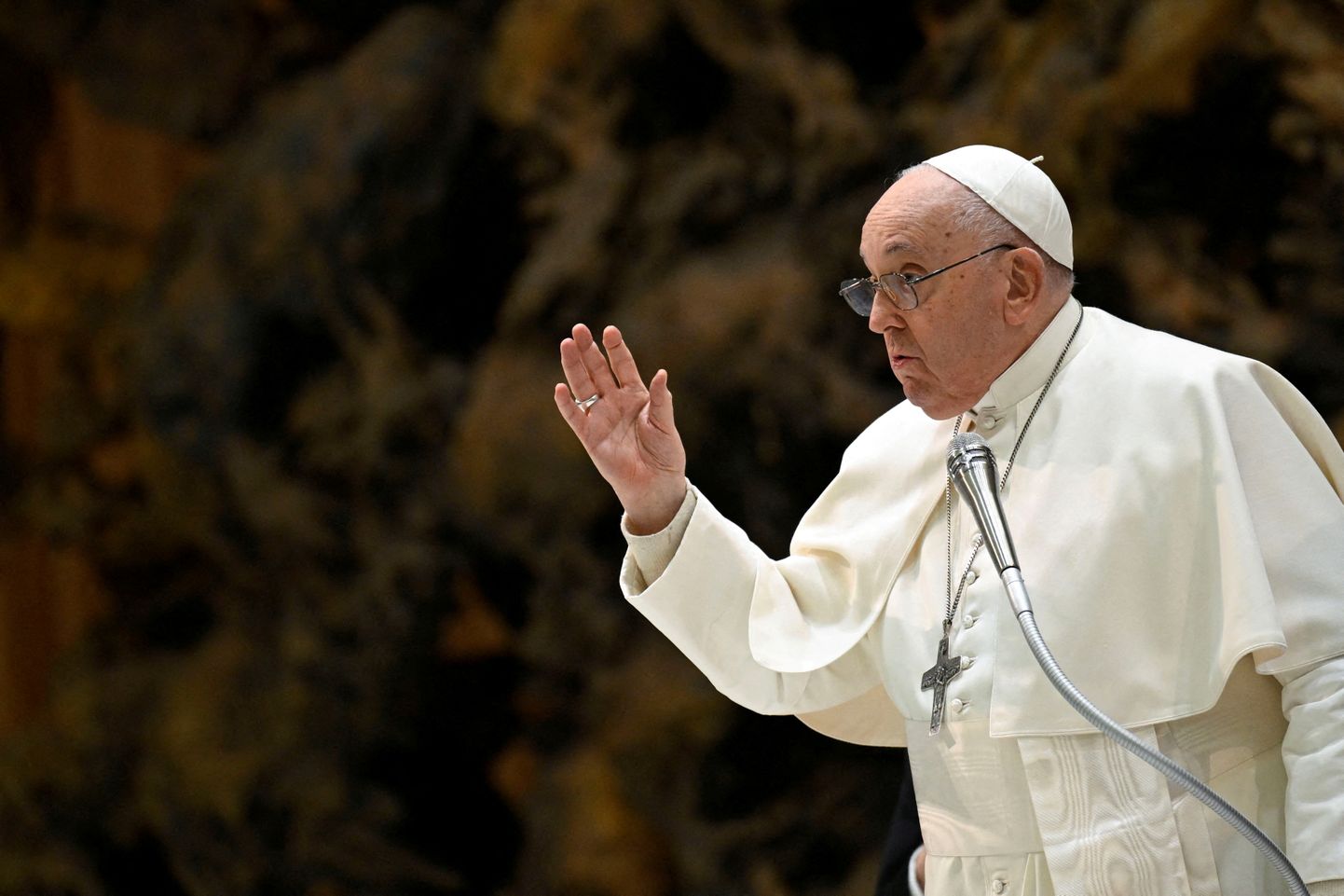 Paavst Franciscus 17. jaanuaril 2024 Vatikanis üldaudientsil, kus ta rääkis ka seksuaalsest naudingust.