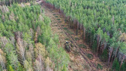 Kohus rahuldas Nursipalu harjutusvälja laiendamise vastaste kaebused