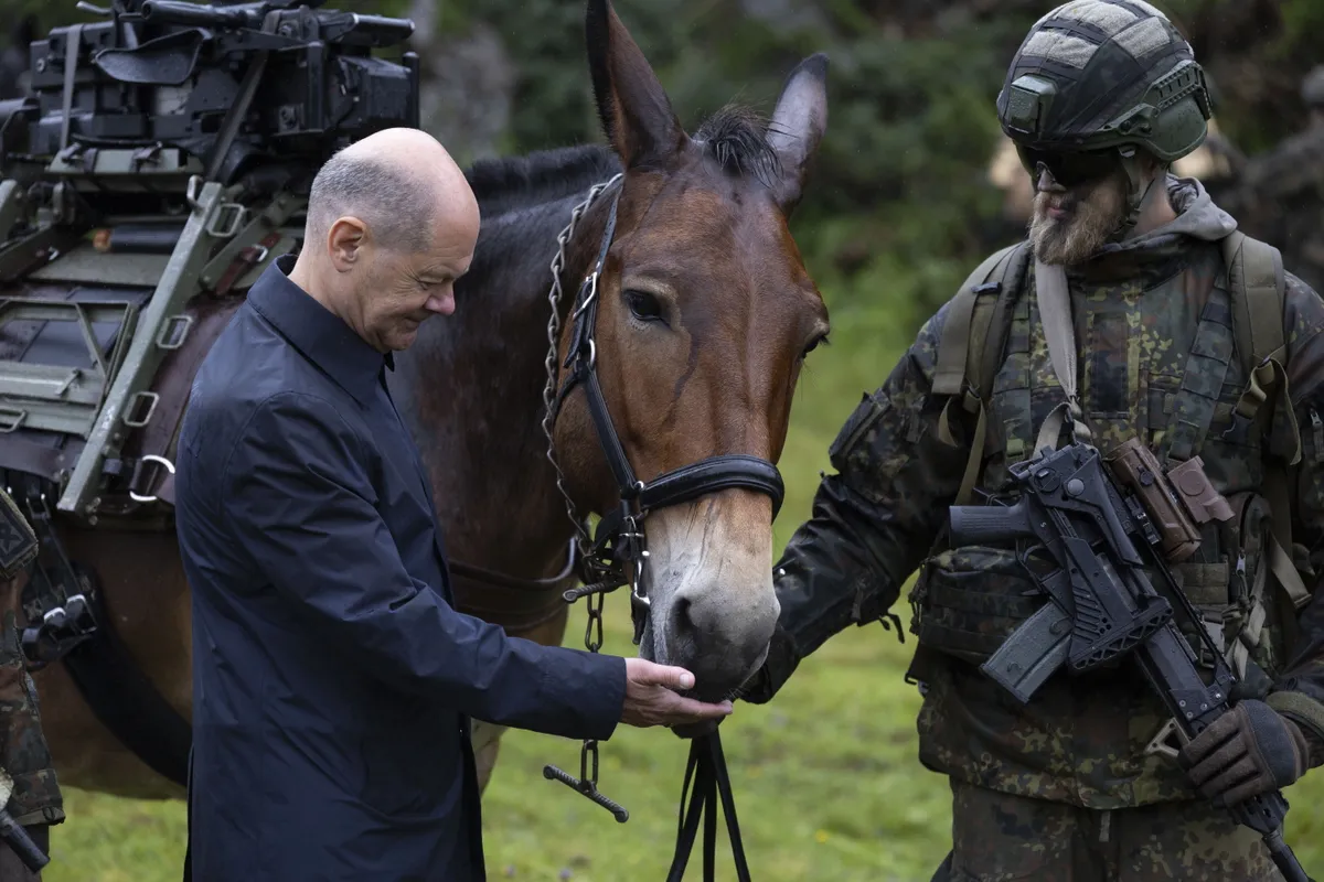 German Federal Chancellor Olaf Scholz (L) feeds a mule during his visit to the German Army Mountaineer brigade in Oberjettenberg, Germany, July 22, 2024.