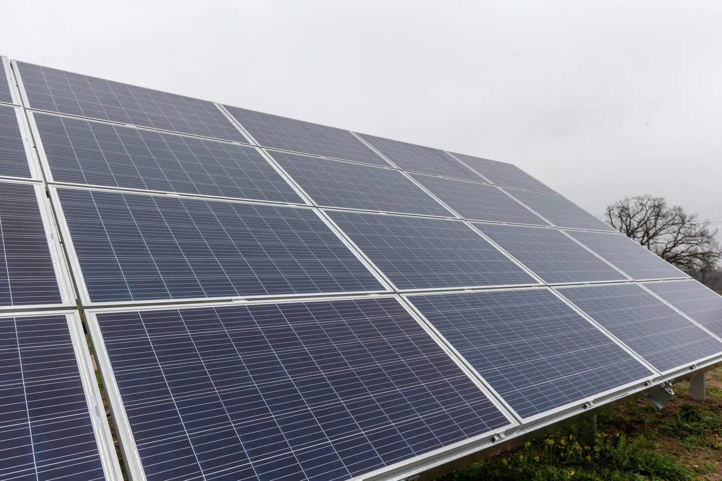 Toetatud projektide hulgas on muu hulgas päikeseenergia tootmise projektid.