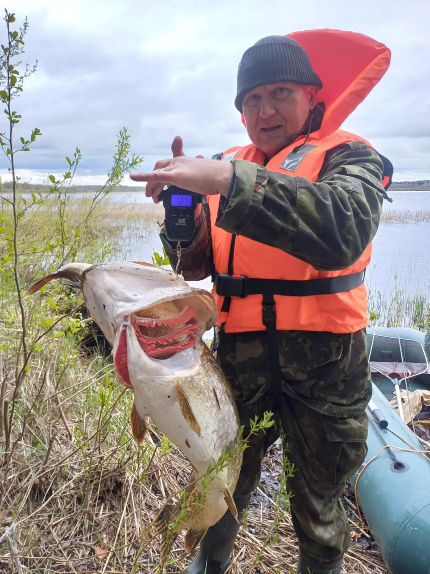 Kalamees Lembit Rebane avastas Kaiu järvest ligi üheksakilose haugi, kes oli püüdnud alla neelata kolmekilost koha.