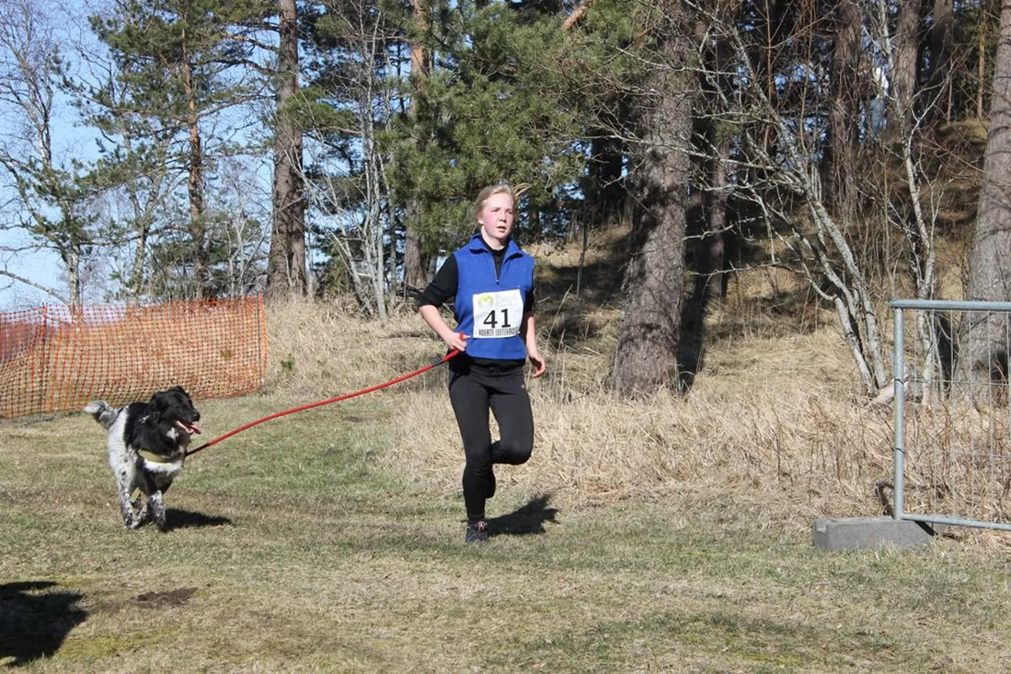Varjupaiga koer Pätu ja Laura-Liis Piigert luitekrossil.