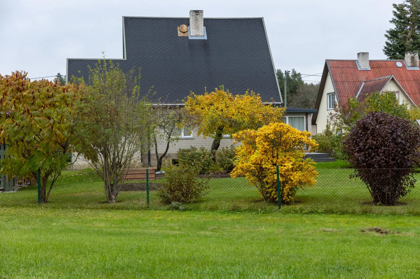 Surnukeha leiti Rakvere vaikses äärelinnas asuvast eramust.