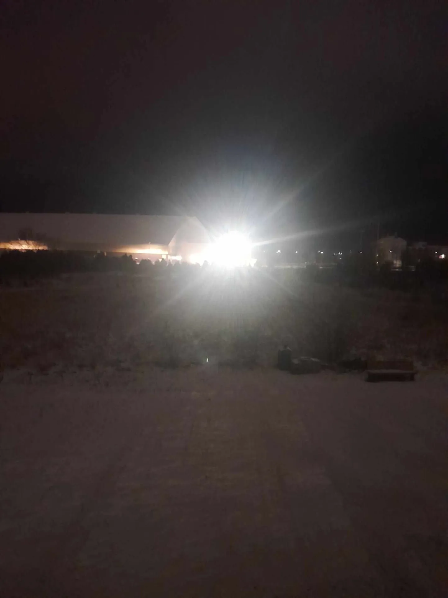 Artikli foto
