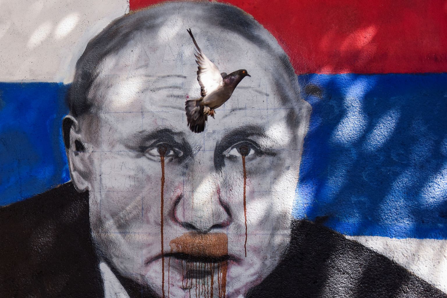 Голубь летит над графити с изображением президента РФ Владимира Путина. Картина была испорчена красной краской из баллончика после вторжения России в Украину. Белград, Сербия, июнь 2022 года