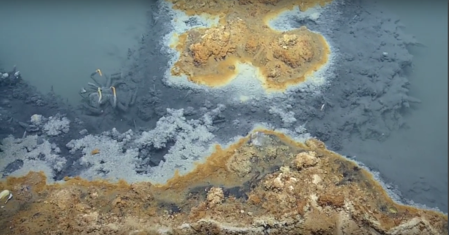 Teadlased avastasid Mehhiko lahe põhjast haruldase soolajärve, mille mürgised veed tapavad pea kõik, mis sinna satub.