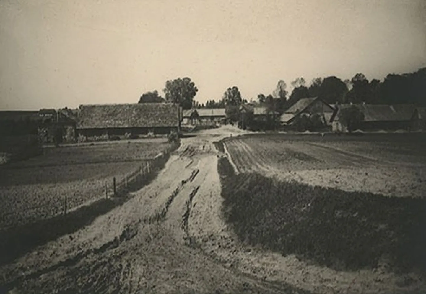 Raksta foto