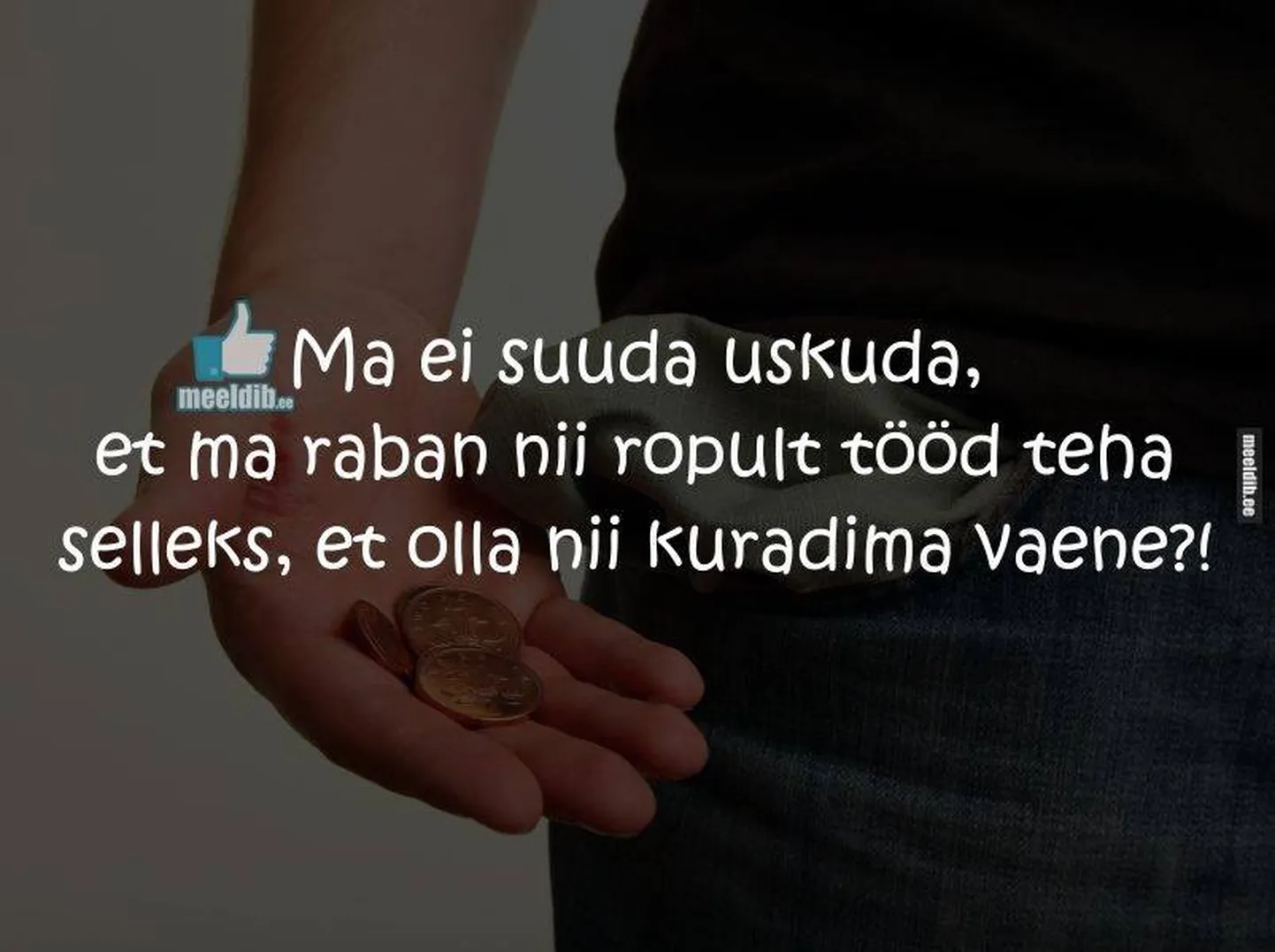 Artikli foto