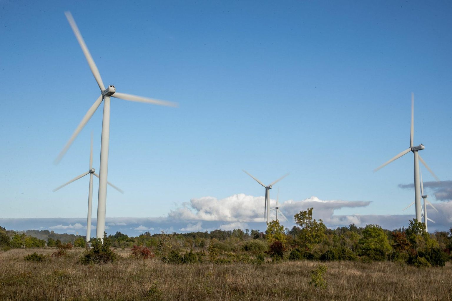 Seadusemuudatus paneks tuuleelektrijaamade rajajatele kohustuse maksta kohalikele tuulikutasu.