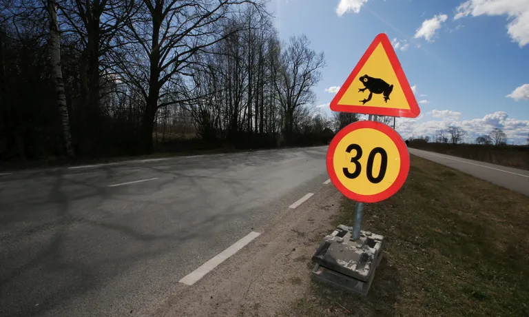 Ihaste teel keelati konnade rände tõttu õhtul kella kaheksast kuni hommikul kella seitsmeni liiklus. Päevasel ajal piirati kiirus 30 km/h.