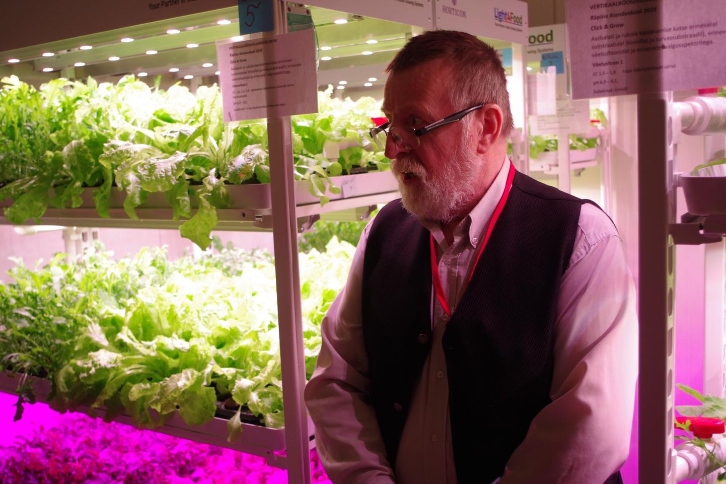 Räpina aianduskooli õppemajandi juht Urmas Roht tutvustab salati riiulis kasvatamist. 
