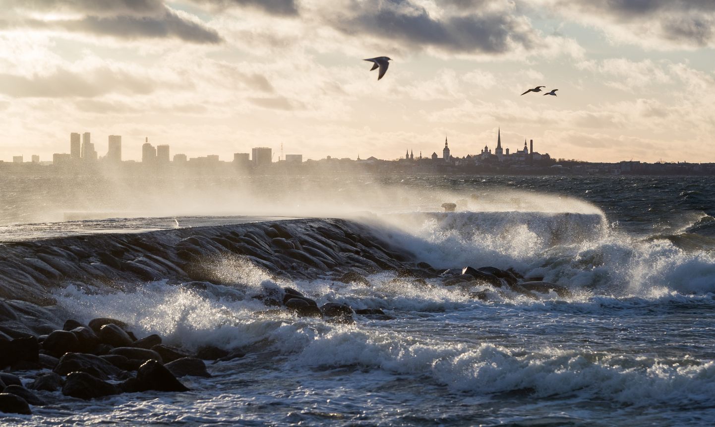 Tuuline ilm ja suured lained Pirita teel ja Meriväljal.
