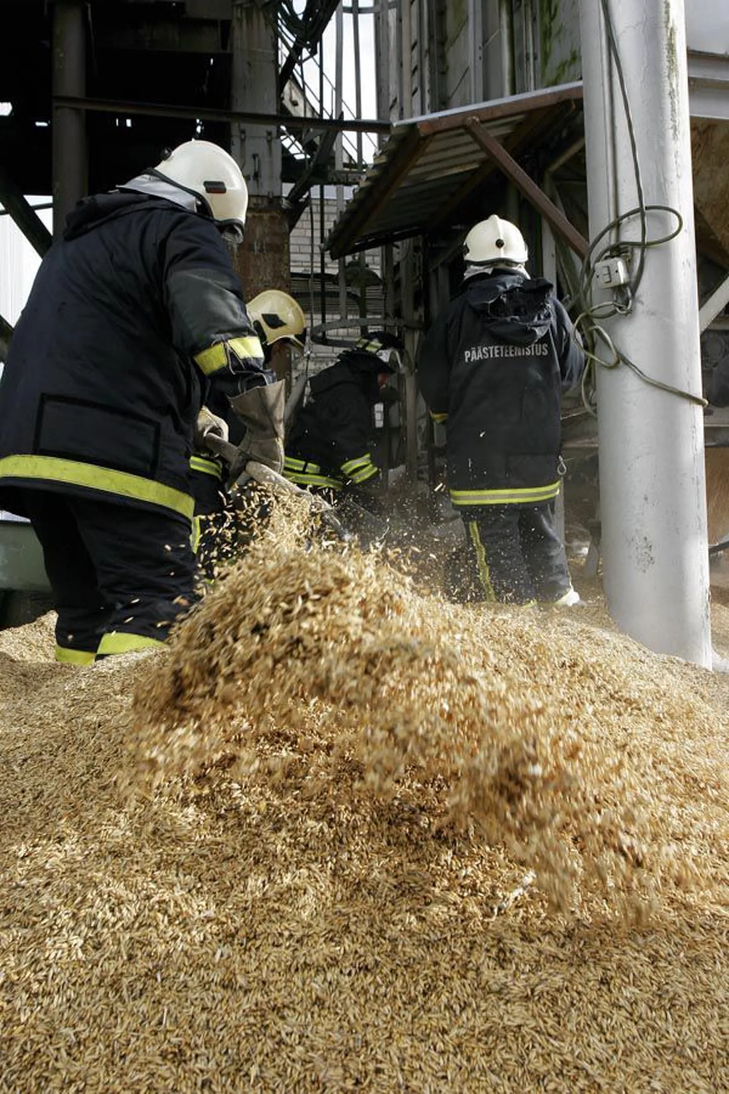 Vihmaga niiskeks muutunud vili nõuab kuivatilt täisvõimsusega tööd, see aga võib tekitada soodsaid tingimusi tulekahju tekkeks. Foto on tehtud Paistu vallas 2009. aastal, kui kuivatis süttis niiske vili, ning sellest ajast saati on Viljandimaal olnud seitse kuivatipõlengut.