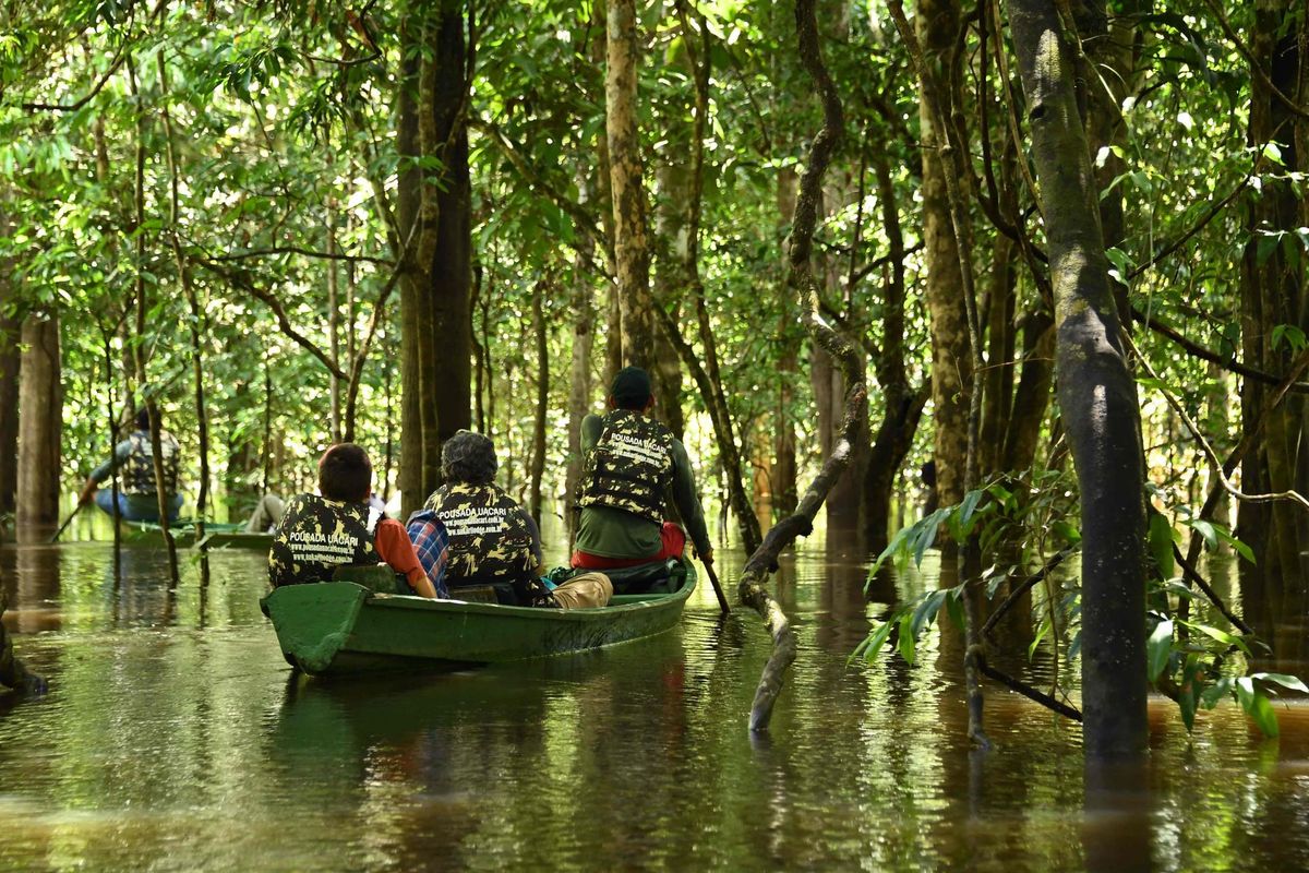 Jõeretk Amazonases, Mamiraua reservuaaris.