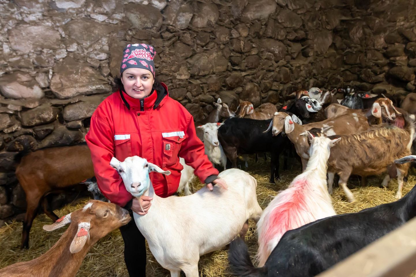 Anne Grünbergil on 150pealine kitsekari ja soov aretada karja pigem tootlikumaks.