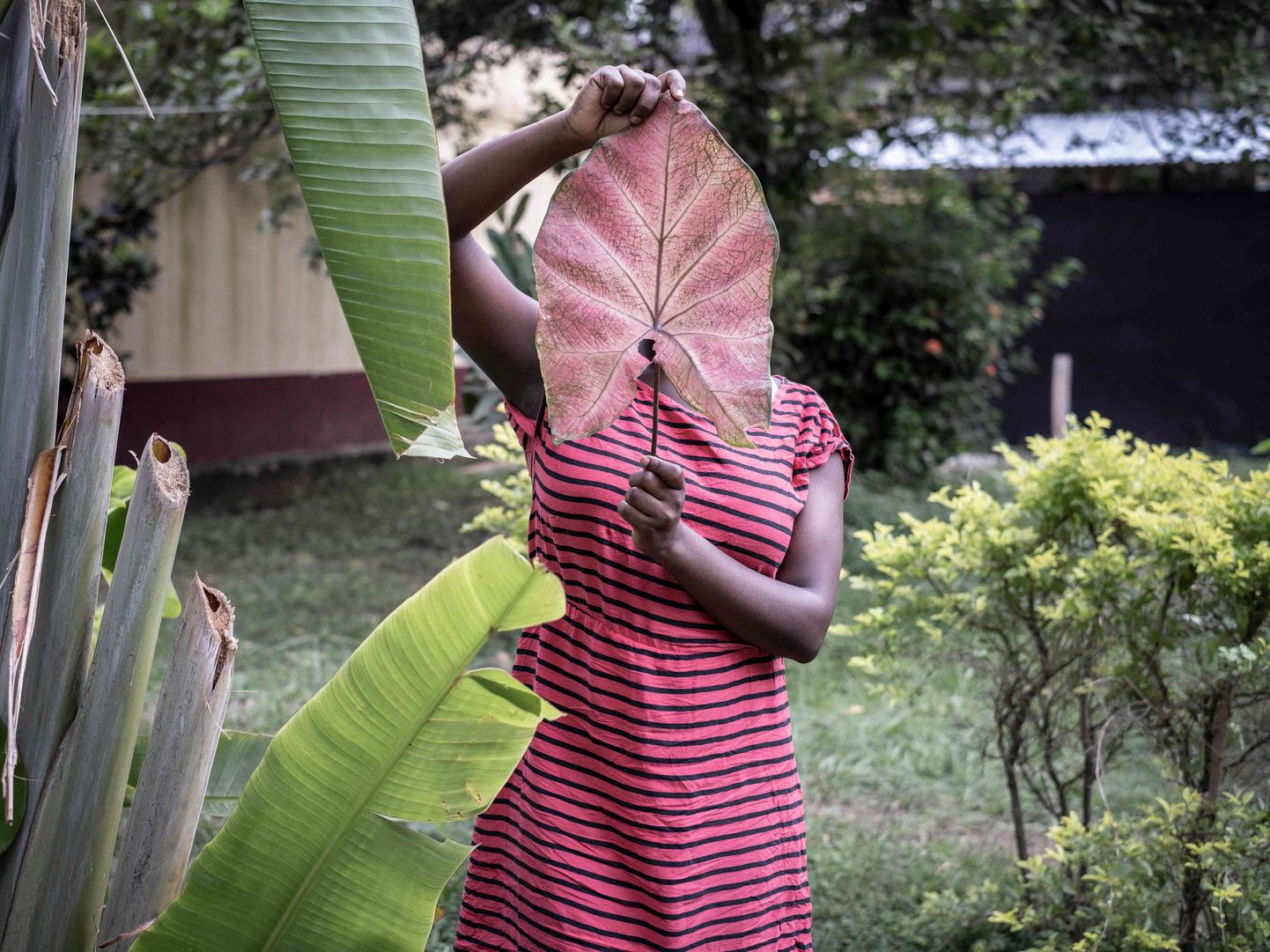 Seksuaalrünnaku ohvriks langenud 15-aastane Kesk-Aafrika Vabariigi neiu varjab lehega oma nägu, poseerides uudisteagentuuri AFP fotograafile riigi pealinnas Banguis.