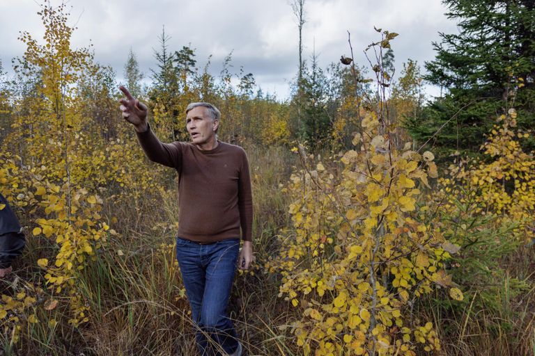 Лесные угодья лесного предпринимателя Марго Висну были принудительно отчуждены для создания коридора путей Rail Baltica.