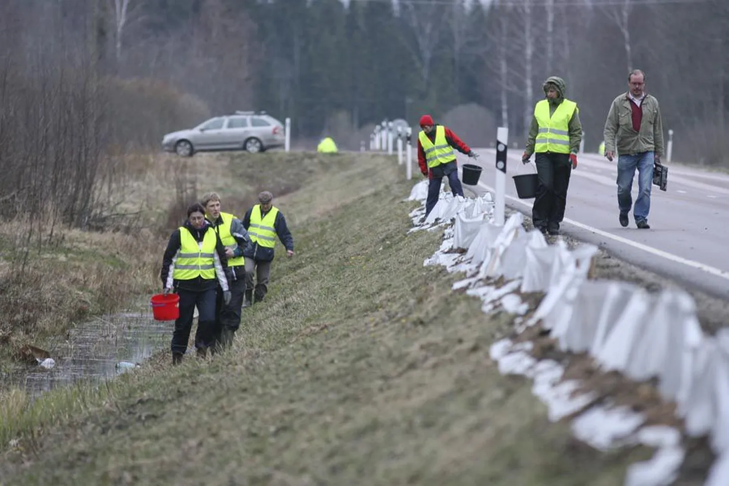 Võrtsjärve põhjakaldal Oiu lähedal  päästeti tänavu 1392 kahepaikset.