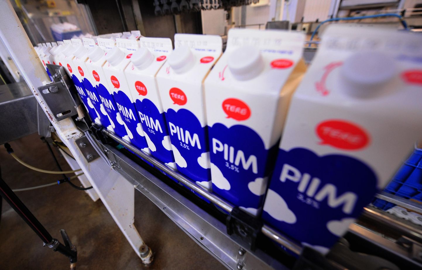 Piimapulbri ja rõõsa koore hind on maailmaturul jätkuvalt tõusuteel.