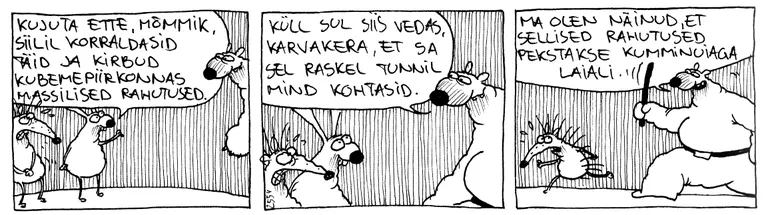 Artikli foto
