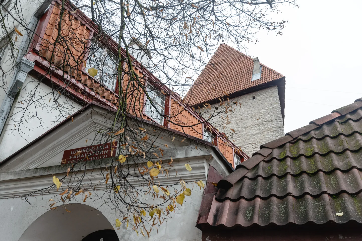 Фото статьи