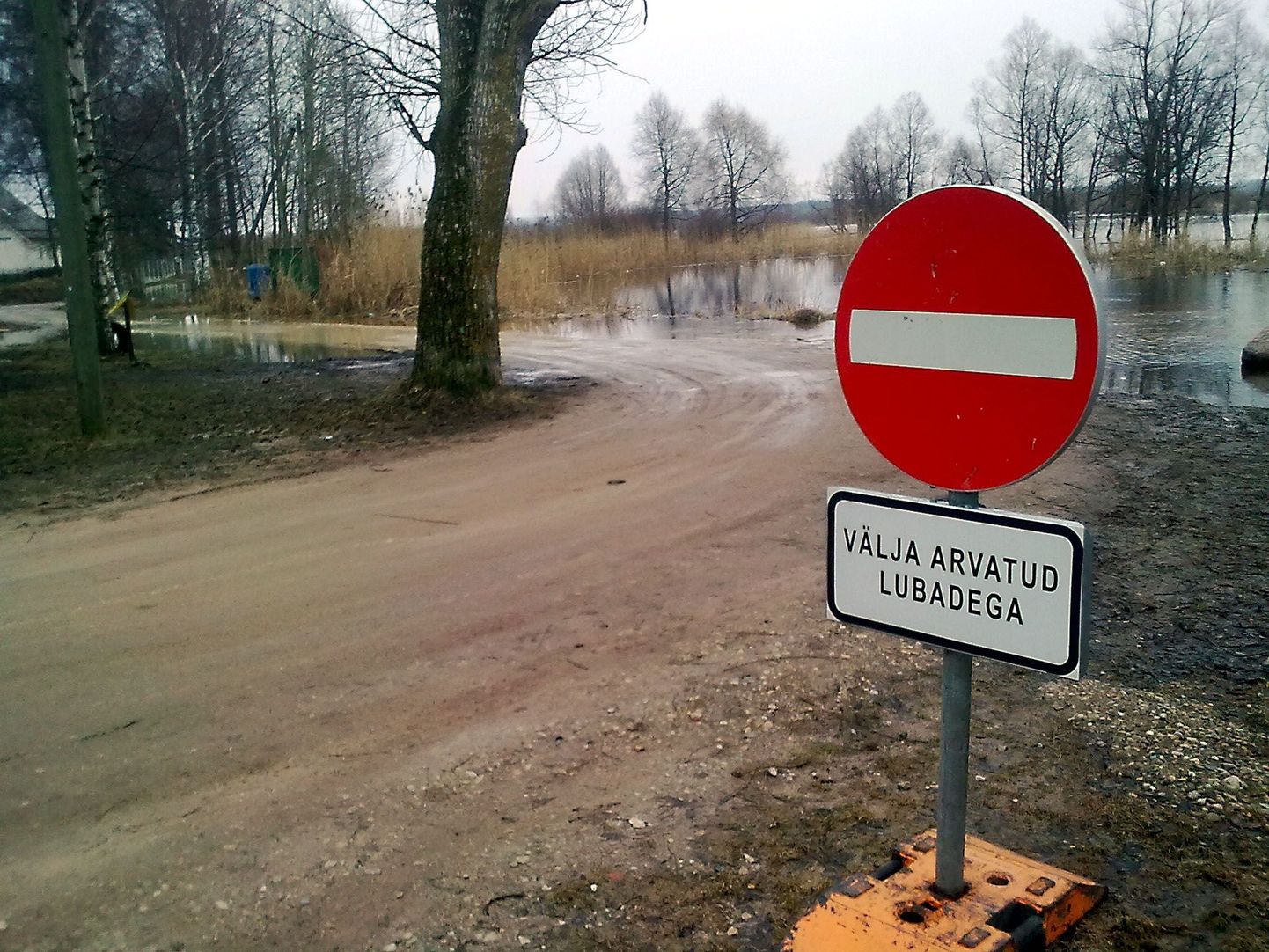 Esimesena sulges Tartu linnavalitsus veeuputuse tõttu Ihastes asuva Ranna puiestee.