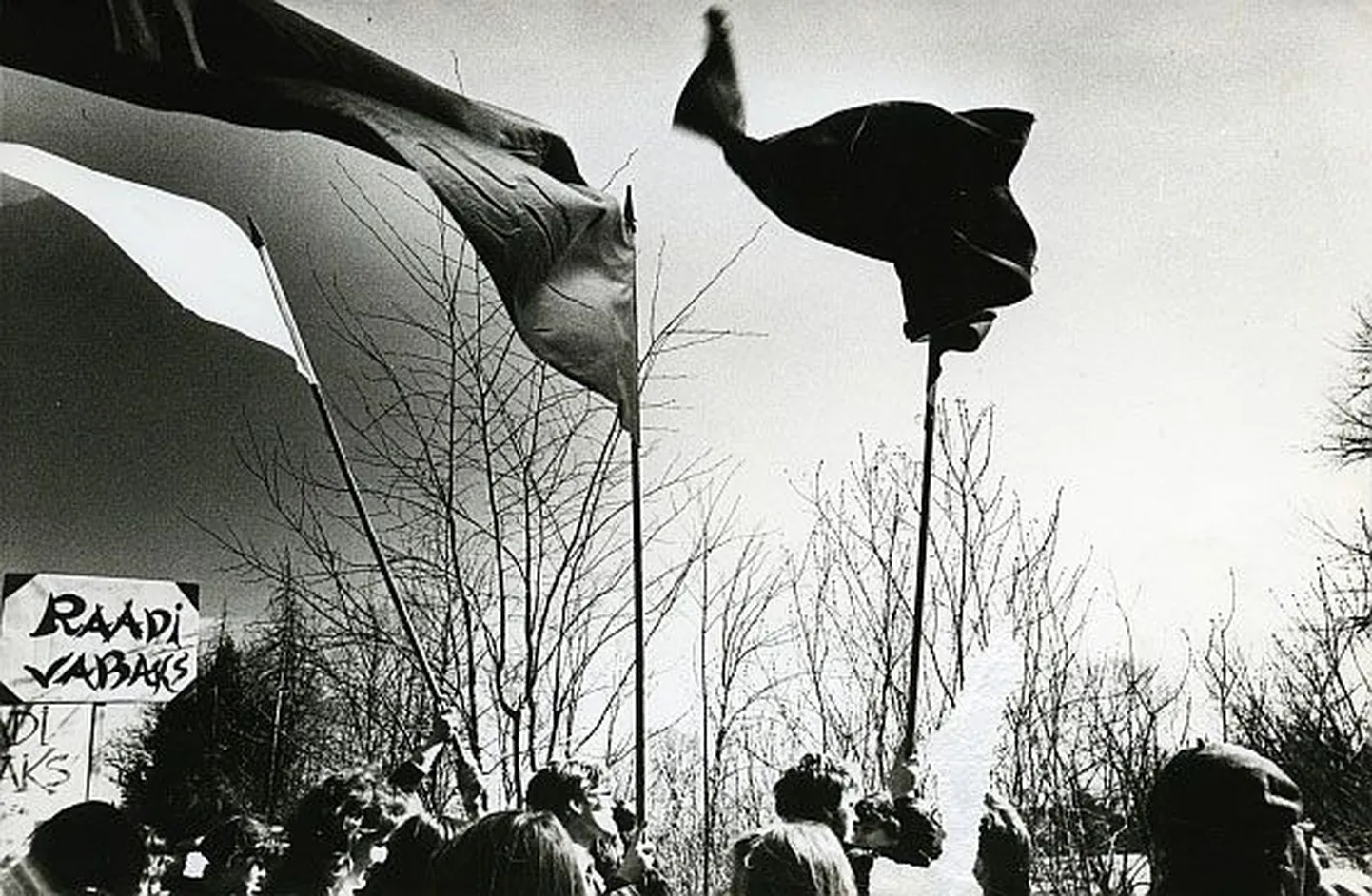 Kaks voodilina ja veidi seelikuriiet – sellest tehti 1988. aastal rahvusvärvides lipud, mis paljudel meeleliigutuspisara silma tõid.