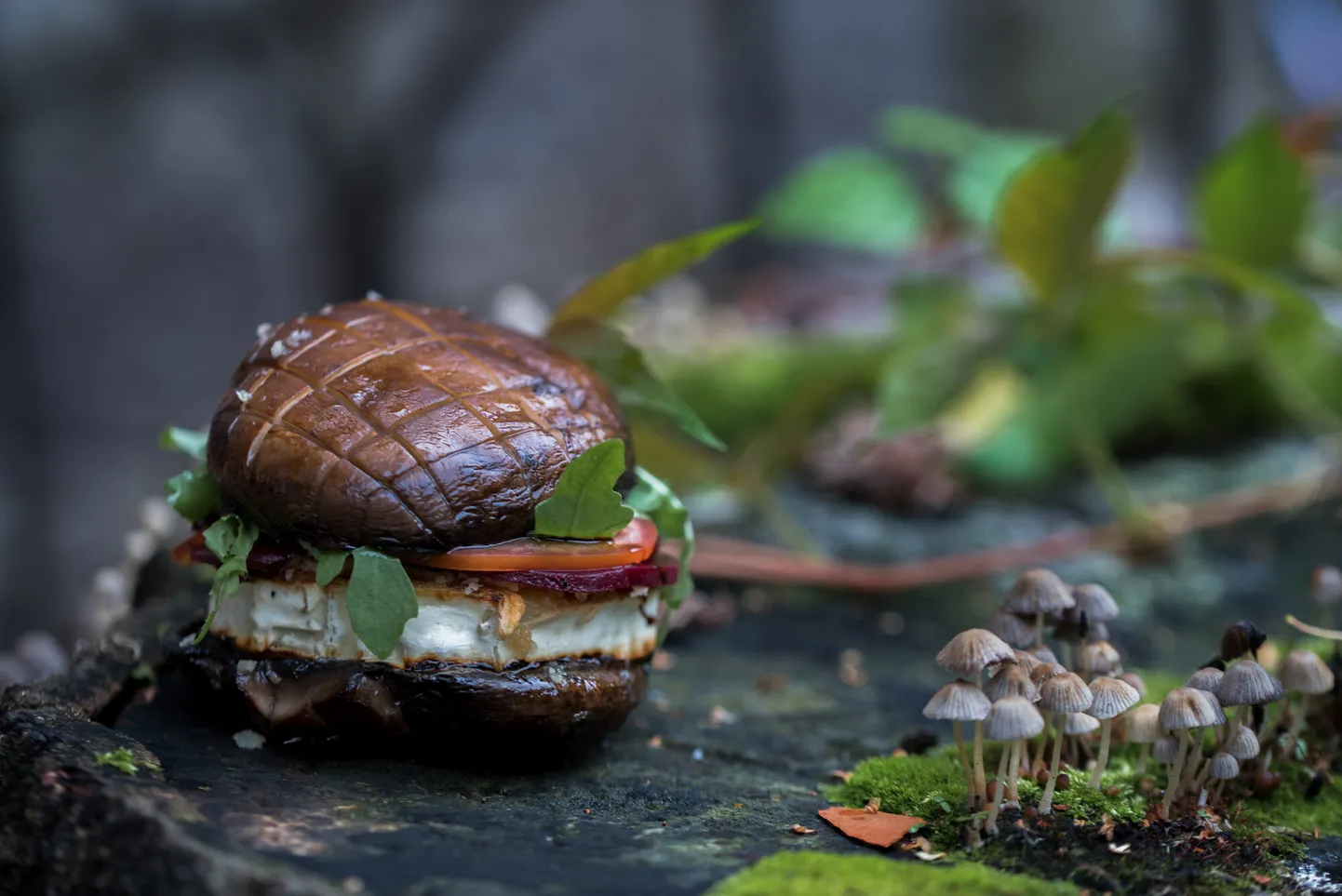 Maitsete nädala «Metsast taldrikule» puhul pakuvad restoranid hamba alla nii ulukilihaga burgerit, seeni, marju kui ka sammalt ja kuusevõrseid.
