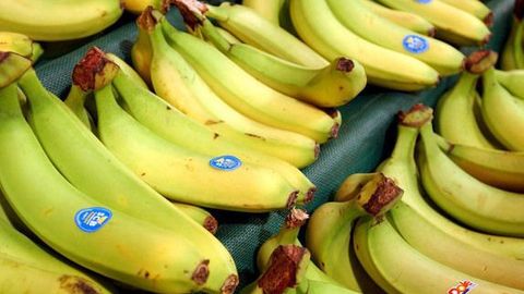 Испанская полиция нашла 17 кг кокаина в партии бананов