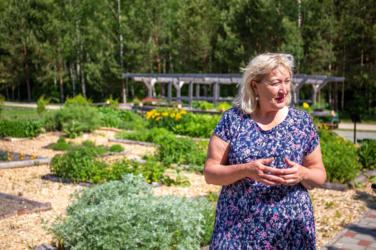 Pärnu linnas Malda külas on Tamme talu perenaine Heli Viedehof rajanud ürdiaia, mis on Eesti-­Läti ühise aiandus­turismi edendamise üks külastuskohti.