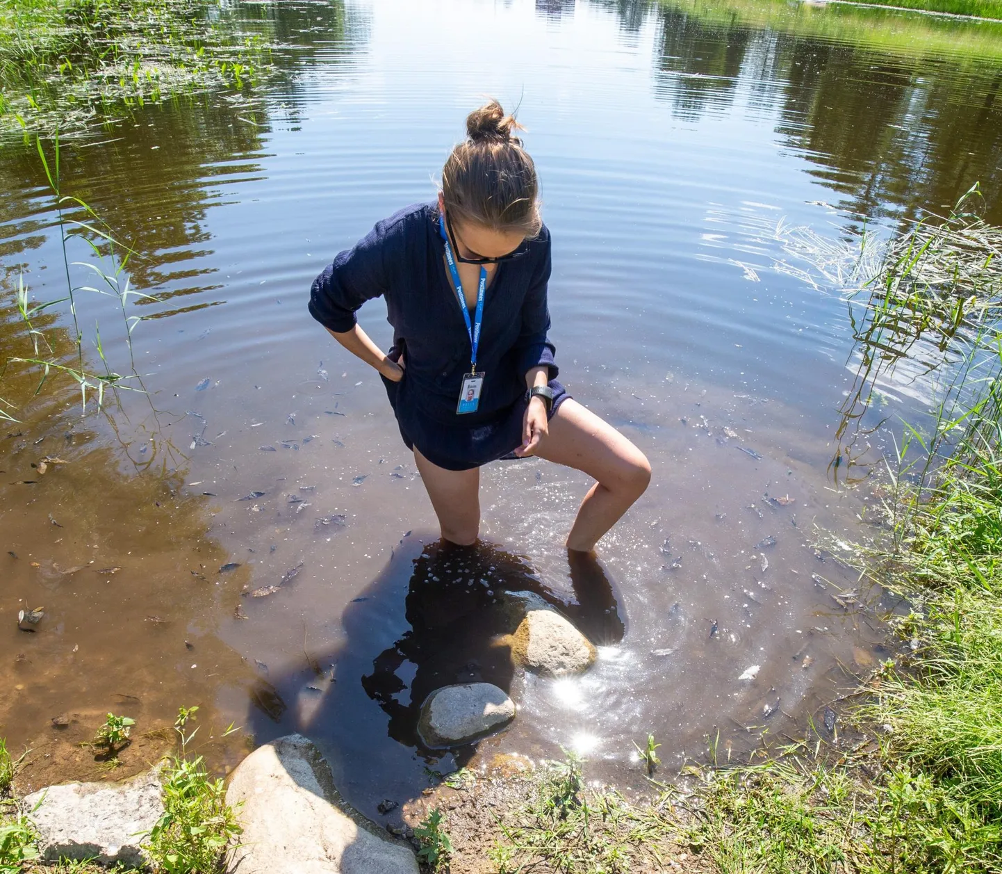 Viljandi Paala järve tagumine osa on nii mudane, et seal kõndides võib üks jalg põlveni sisse vajuda.