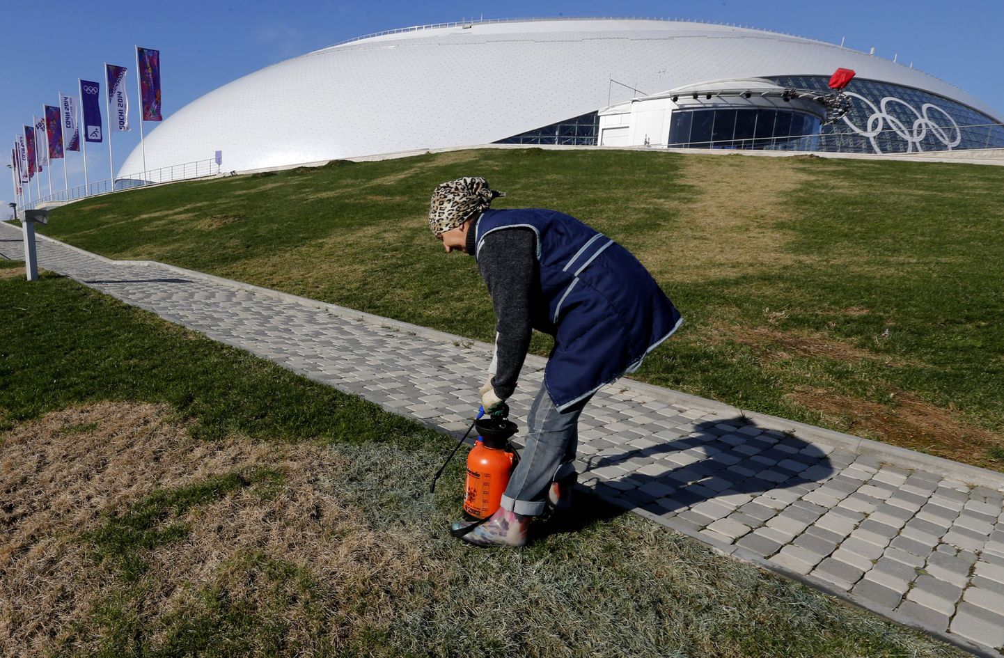 Tööline värvib Sotši olümpiapargi muru roheliseks