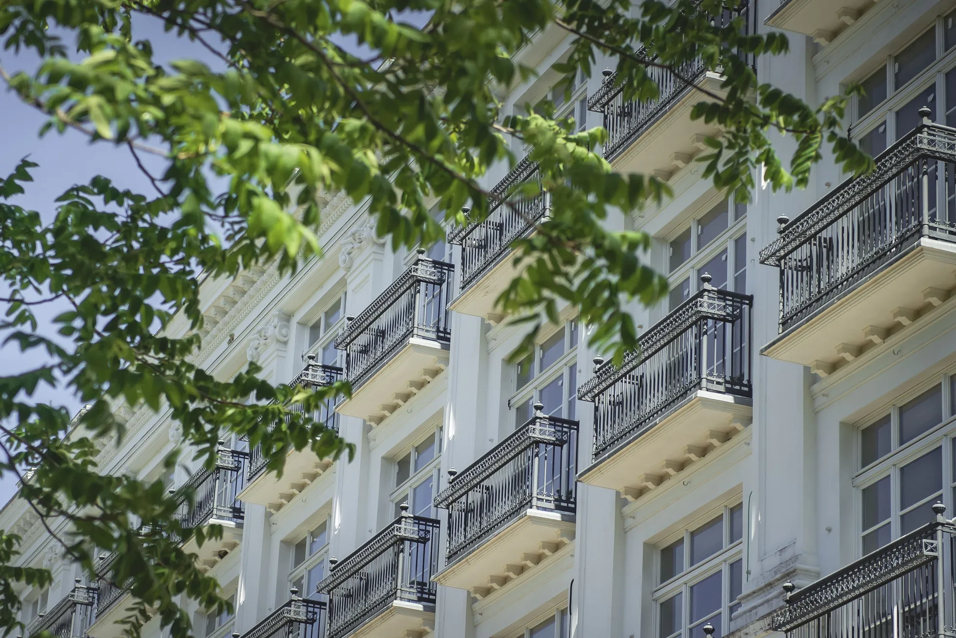Фото статьи