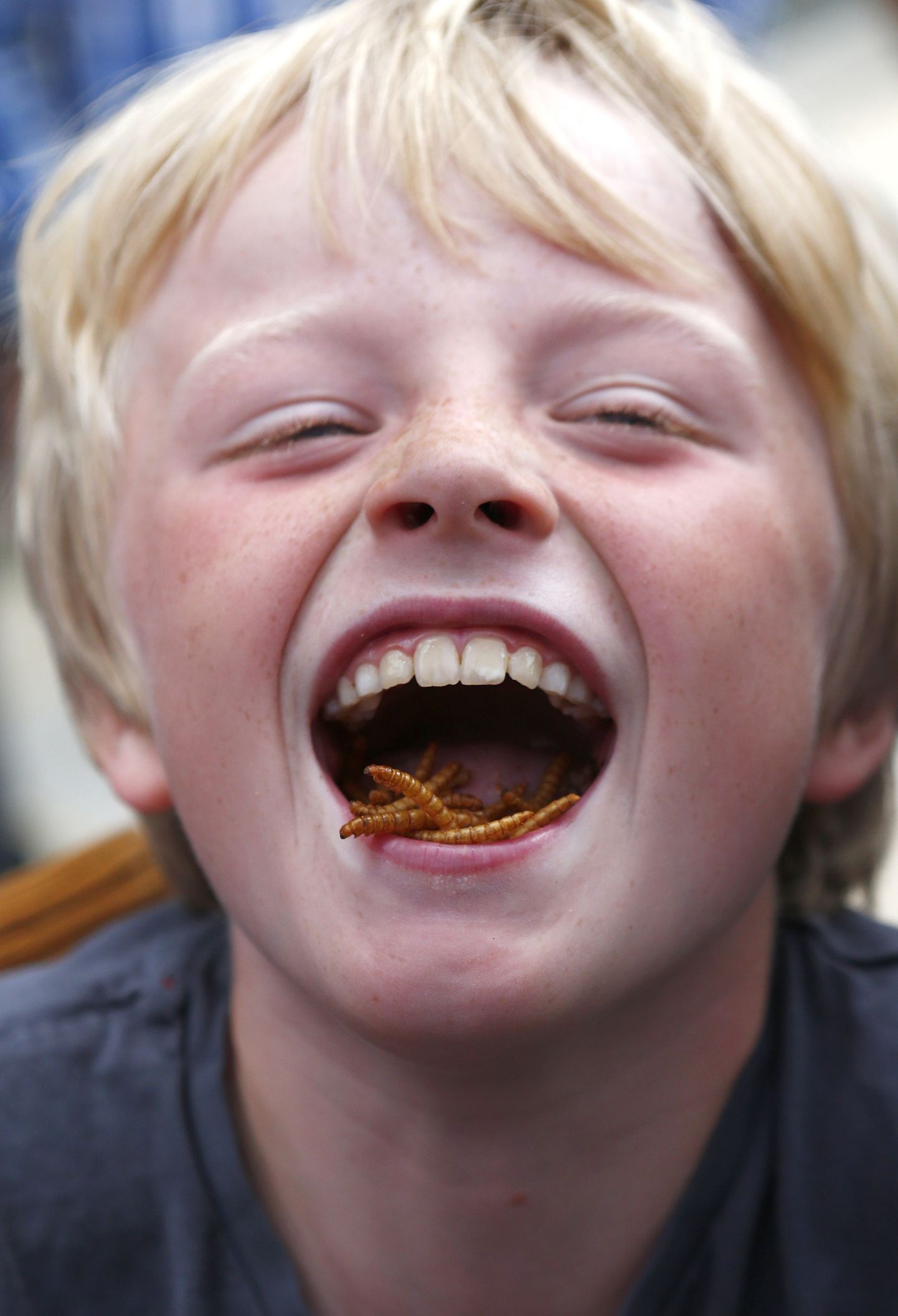 Üheksa-aastane Stan Knight söömas jahumardika vastseid