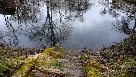 ВИДЕО ⟩ Житель Резекне не смог спасти тонущего в пруду друга