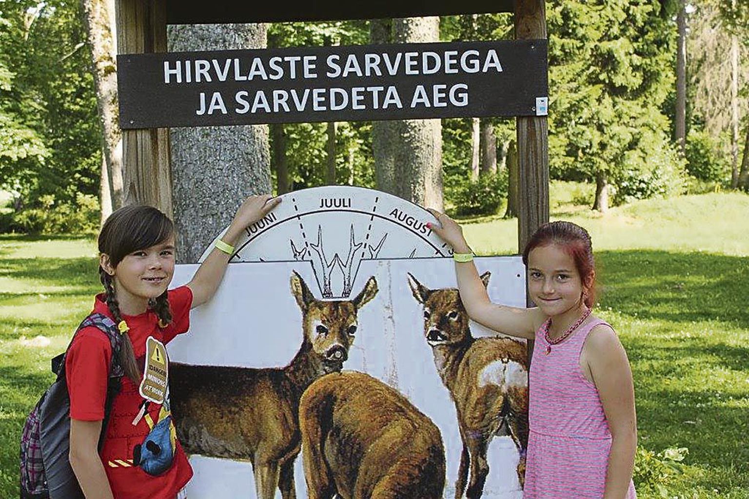 Jõgevamaal toimunud suvepäevadesse mahtus Elistvere loomapargi külastus. Pildil klubi Kärmed Tootsikad liikmed Kerda (vasakul) ja Hanna.