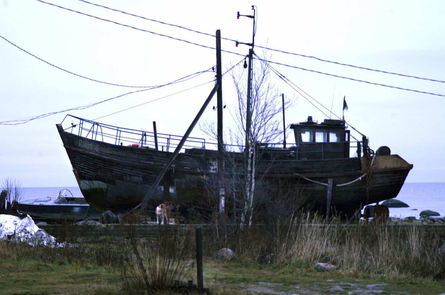 Vana kalalaev dokis.