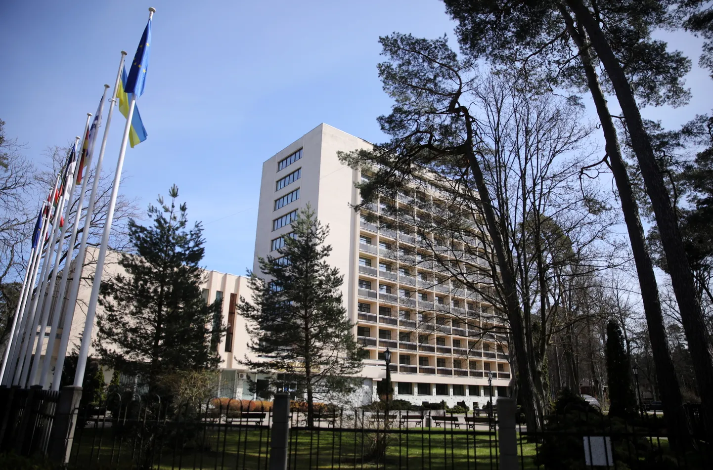 Raksta foto