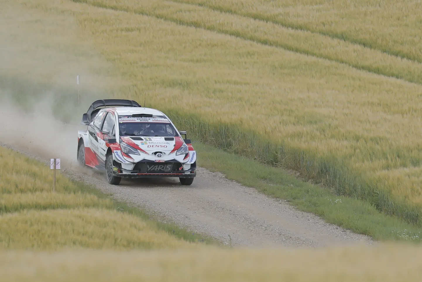 Rally Estonia 2019.