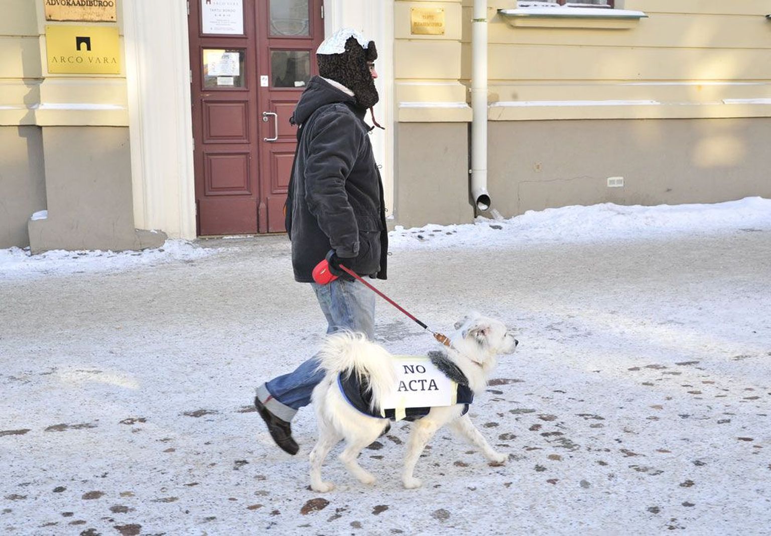 Peremees jalutab koeraga ACTA-vastasele meeleavaldusele Tartus 11. veebruaril.